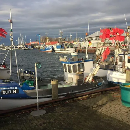 Zur-alten-volksbank-wohnung-2 Petersdorf auf Fehmarn